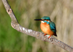 いつもの公園で　１２/２０❶