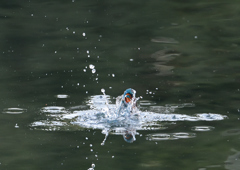 浮上したが・・・