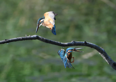 一発即発　９/３❷