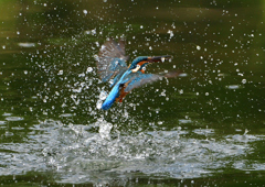 いつもの公園で　１０/２❷