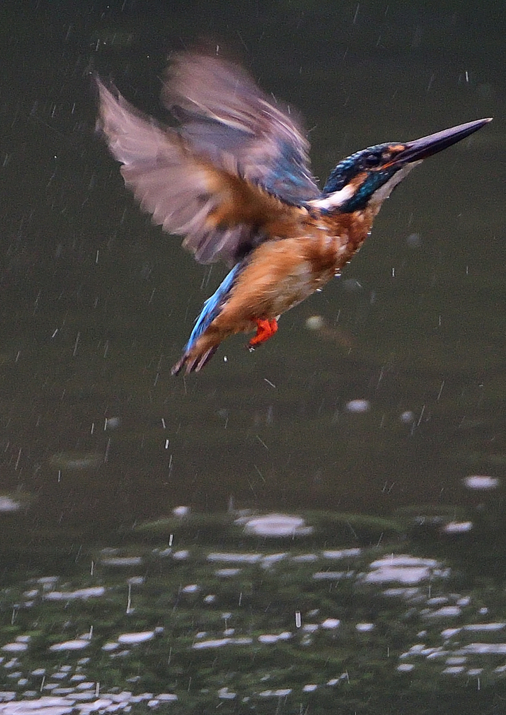 ダイブ　８/２０❶