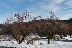 雪景色　１２/２９❷
