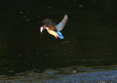 魚を・・・・　５/４❷