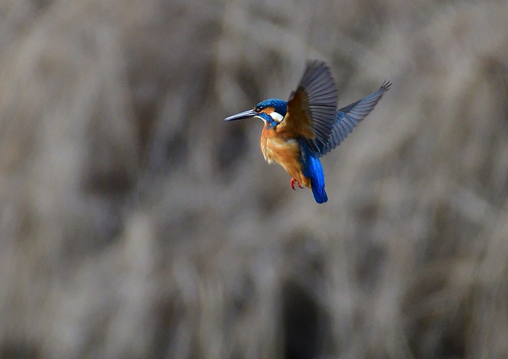 いつもの公園で　1／5❽
