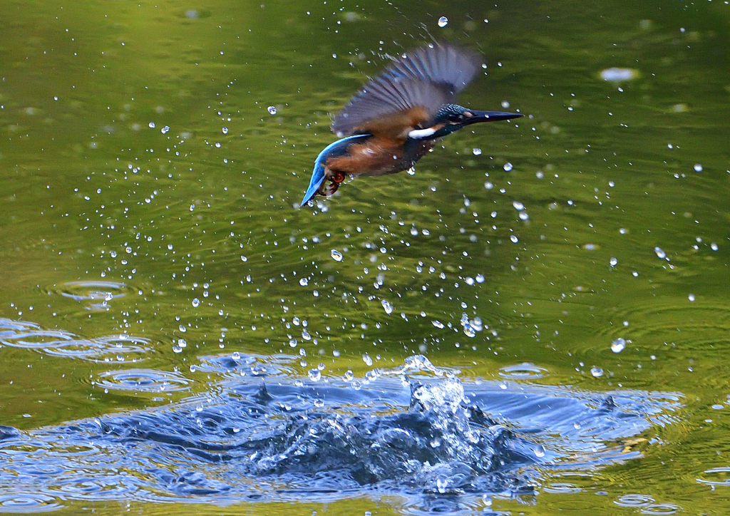 いつもの公園で　８/１６❶