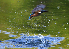 いつもの公園で　８/１６❶