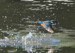 飛沫　８/２６❹