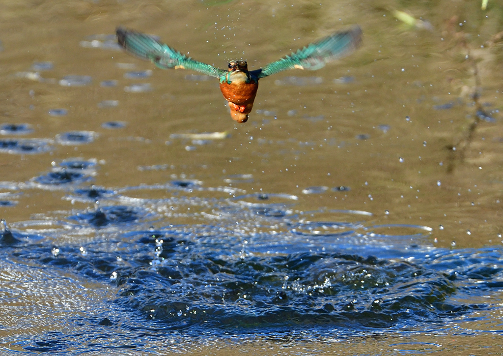 いつもの公園で　１１/２１❺