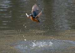 _190305_102542 DSC_6795