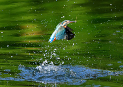いつもの公園で　８/１４❺