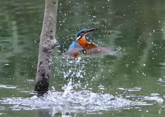 いつもの公園で　１０/２４❶
