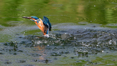 いつもの公園で　９/２４❽