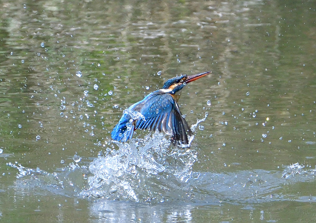 水飛沫　４/２７❺