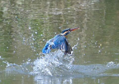 水飛沫　４/２７❺