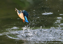 _191031_075342 DSC_7935