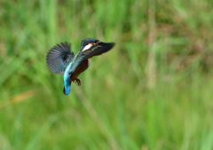 ホバリング　８/１０❶