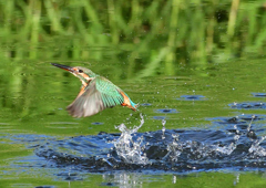 水飛沫　８/１０❶