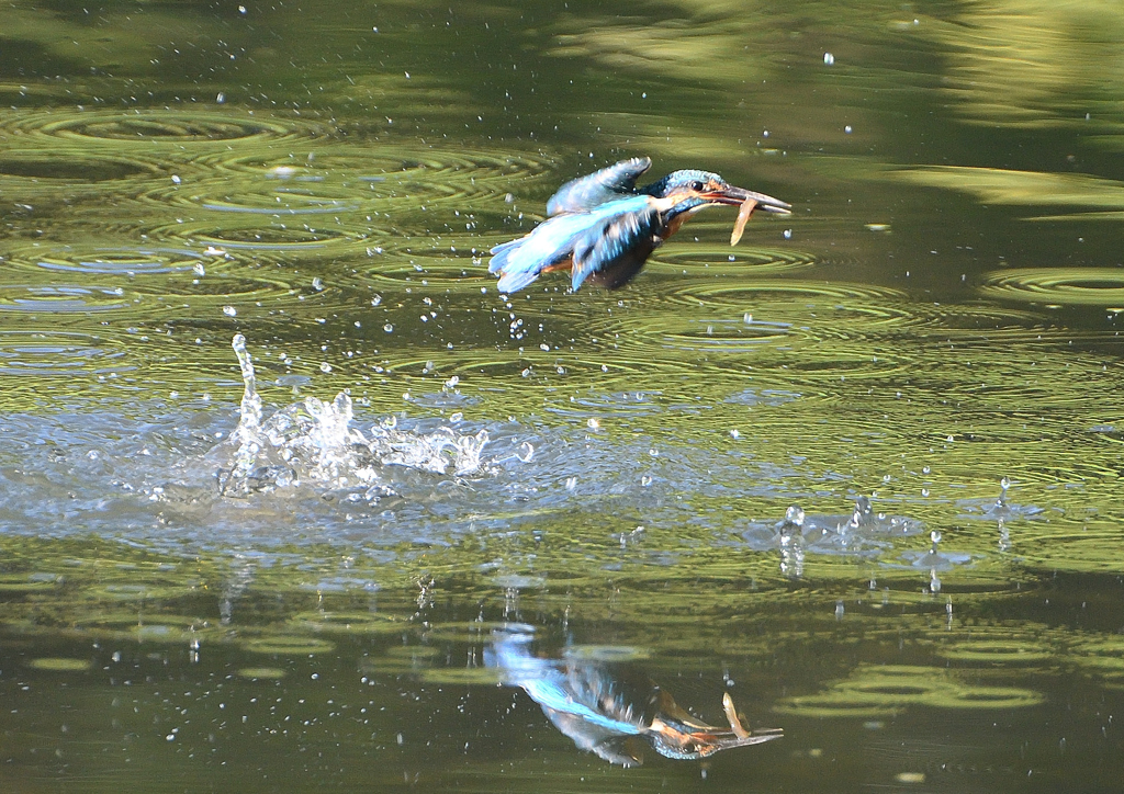 _190906_075049 DSC_9226