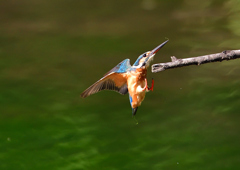 いつもの公園で　８/１７⑨