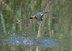 ダイブ　５/６❼