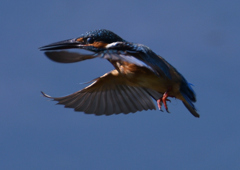 緩急自在　９/３❾