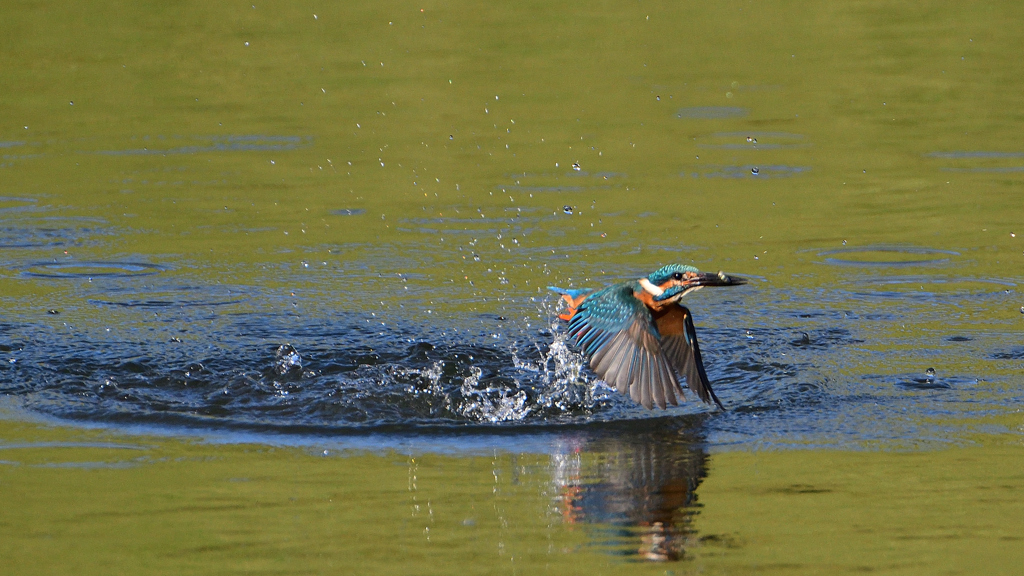 _191009_082530 DSC_9107