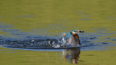 _191009_082530 DSC_9107