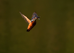 いつもの公園で　１０/１５❺