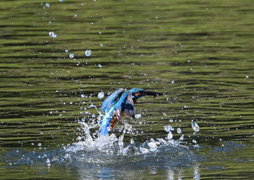 水飛沫　１０/１５❹