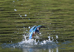 水飛沫　１０/１５❹