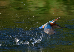 いつもの公園で　１０/１４❺