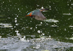 水飛沫　８/６❸