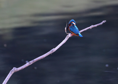 あれ～・・・・❼