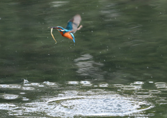 あれ～・・・・❹