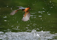 水飛沫　７/３１➂