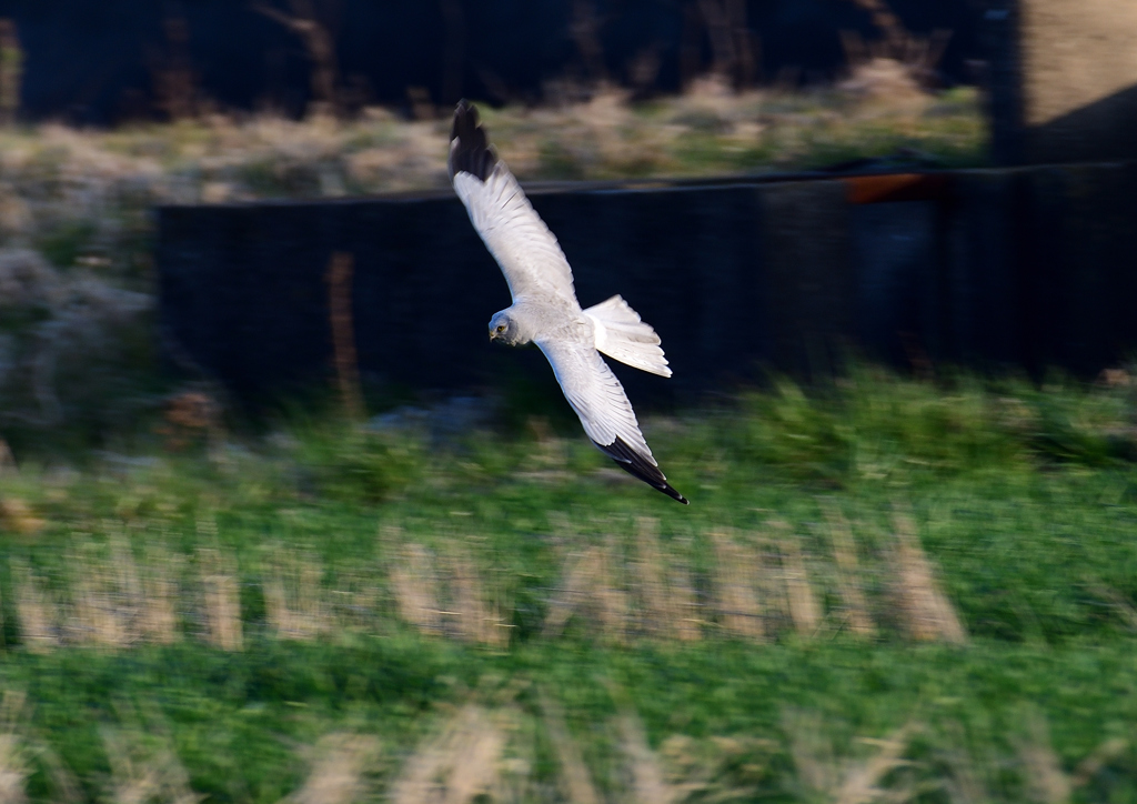 _190301_165707 DSC_3324