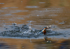いつもの公園で　1／5❺