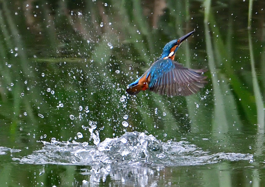 ダイブ　９/２９❷