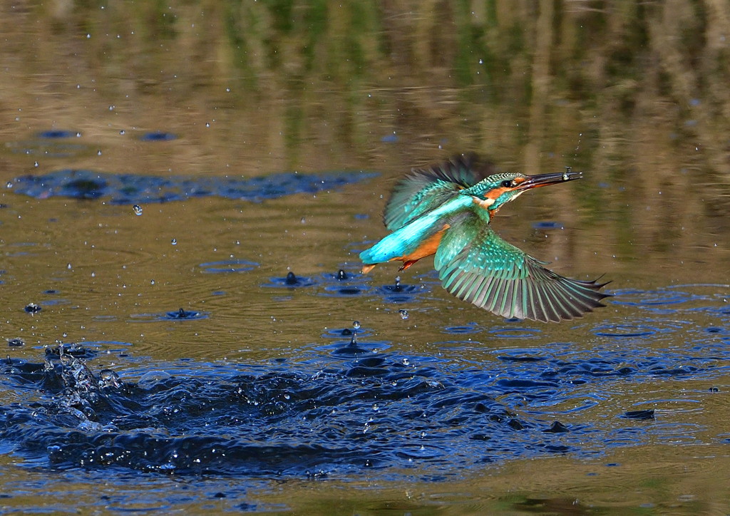 いつもの公園で　１０/２９❺