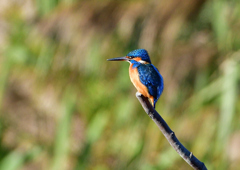 いつもの公園で　１２/７❶