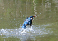 水飛沫　５/５❻