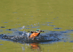 _191009_082529 DSC_9105