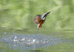 _190906_082623 DSC_9459