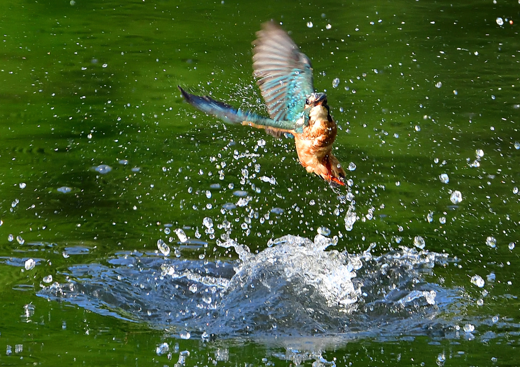 いつもの公園で　８/１４❽