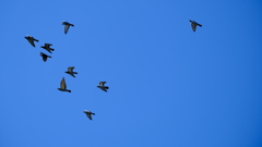 大空へ