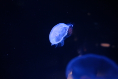 幻想