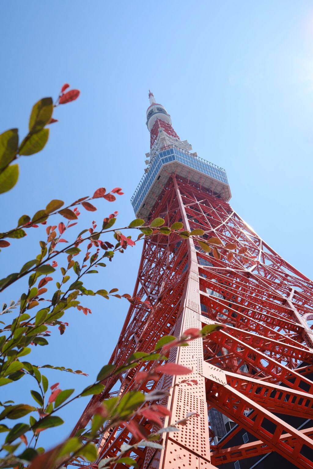 空へ伸びる東京タワー