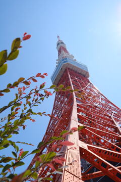 空へ伸びる東京タワー