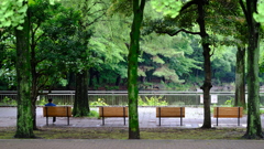 雨上がりのひと時