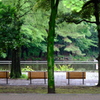 雨上がりのひと時